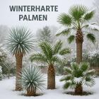 winterharte Palmen