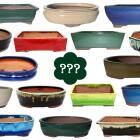 Bonsai bowls and saucers