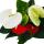 Fleur de flamant rose "Sierra Red & Sierra White" jumeaux rouge/blanc pot 14cm Anthurium andreanum