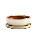 Bonsai cup and saucer Gr. 2 - light beige - haitang/oval...