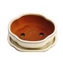 Bonsai cup and saucer Gr. 2 - light beige - haitang/oval - model I5 - L 14,5cm - B 12,5cm - H 5cm