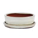 Bonsai cup and saucer Gr. 2 - light beige - oval - model O7 - L 15,5cm - B 12cm - H 4,5cm