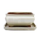 Bonsai-Schale mit Unterteller Gr. 2 - hellbeige - eckig - Modell G81 - L 14,5cm - B 11,5cm - H 6,5cm