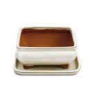 Bonsai cup and saucer Gr. 2 - light beige - square -...