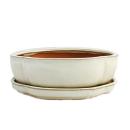 Bonsai cup and saucer Gr. 3 - light beige - haitang/oval...