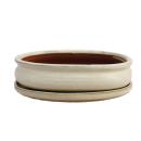 Bonsai cup and saucer Gr. 3 - light beige - oval - model O47 - L 19cm - B 13,5cm - H 5cm