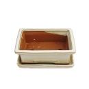 Bonsai cup and saucer Gr. 3 - light beige - square -...