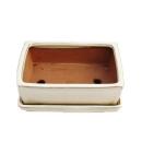Bonsai cup and saucer Gr. 3 - light beige - square -...