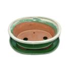Bonsai cup and saucer Gr. 4 - green/beige - oval - model O4 - L 26cm - B 21cm - H 7,5cm