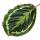 Shadowplant with unusual leafpatterns - Calathea Medailon - 14cm pot -  45-50cm tall