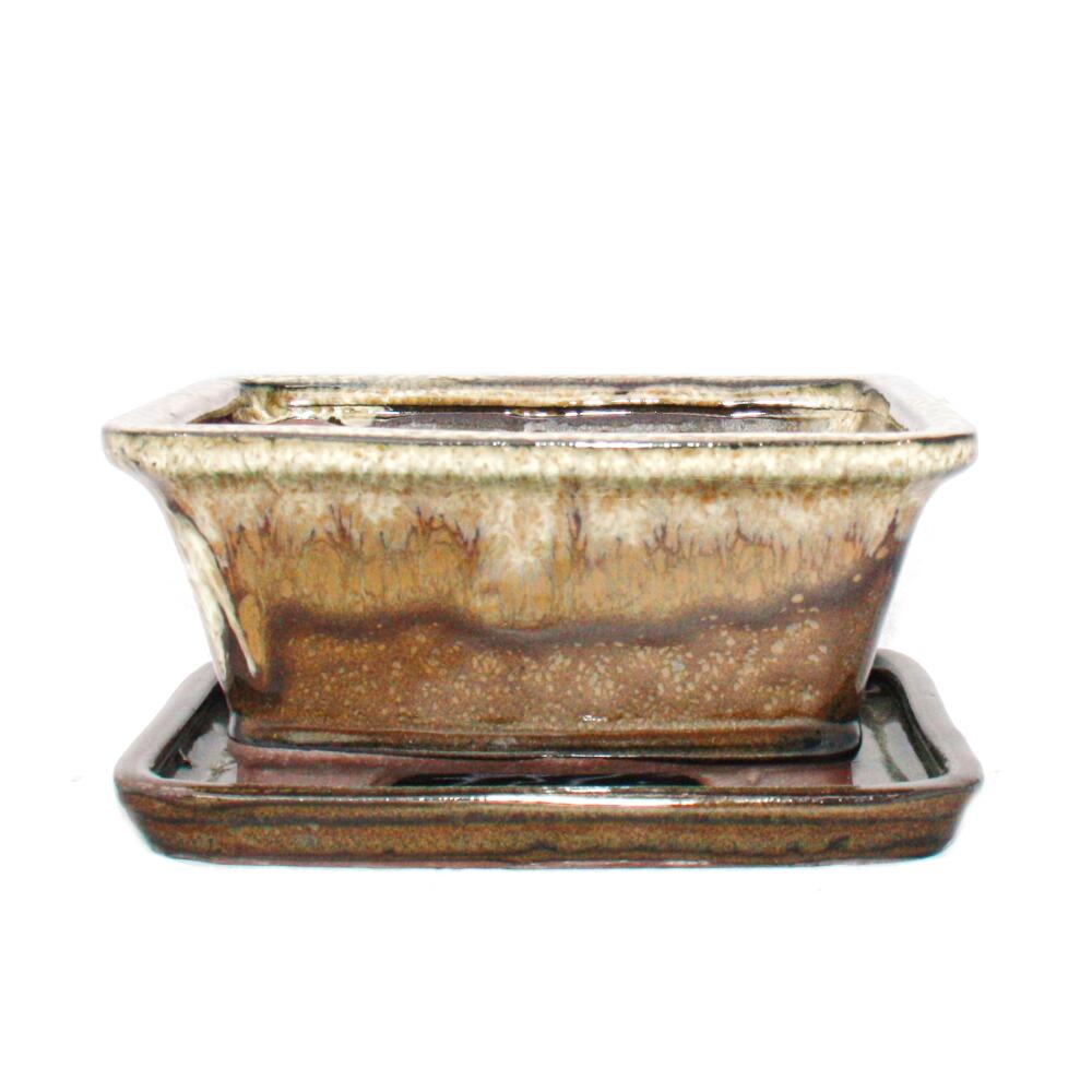 Exotenherz Bonsai-Schale Gr.2 Hellbeige - Rechteckig 15,5x12x4,5cm