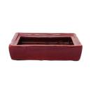 Bonsai bowl with water storage coaster - Gr. 2 - red - rectangular - L 13,7cm - W 9,2cm - H 4,8cm