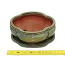 Bonsai bowl with saucer Gr. 2 - haitang I3 - olive-brown - L 15cm - W 12cm - H 6cm