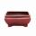 Bonsai bowl with saucer Gr. 2 - rectangular G81 - red - L 14,5cm - W 11,3cm - H 6,6cm