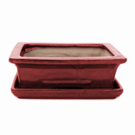 Bonsai bowl with saucer Gr. 3 - rectangular G29 - red - L 18cm - W 13cm - H 6cm