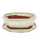 Bonsai bowl with saucer Gr. 4 - haitang I4 - light beige - L 26cm - W 20,5cm - H 8,5m