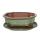 Bonsai bowl with saucer Gr. 4 - haitang I4 - olive-brown - L 26cm - W 20,5cm - H 8,5m