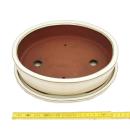 Bonsai bowl with saucer Gr. 4 - oval O1 - light beige - L...