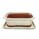 Bonsai bowl with saucer Gr. 4 - rectangular G4 - light beige - L 26cm - W 20cm - H 8cm