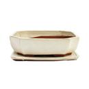 Bonsai bowl with saucer Gr. 4 - rectangular G117 - light beige - L 25,5cm - W 19,5cm - H 8,2cm