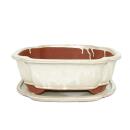 Bonsai bowl with saucer Gr. 5 - haitang I4 - light beige...