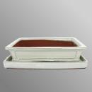 Bonsai bowl - oversize - rectangular - light beige - L...