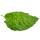 Schattenpflanze mit ausgefallenem Blattmuster - Calathea musaica &quot;Network&quot; - 14cm Topf - ca. 40cm hoch