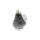 Exotenherz - Gewachste Amaryllis-Zwiebel - Van Gogh - Ritterstern - keine Pflege notwendig schwarz gemustert