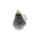 Exotenherzt - waxed amaryllis onion - Van Gogh - knights star - no care necessary, black patterned