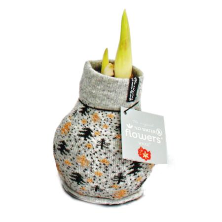 Exotenherz - amaryllis onion in Norwegian sock - knights star - the original gift idea gray