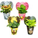 Exotenherz lustiges Zimmerpflanzen Set Animals 4 Pflanzen...