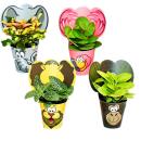 Exotenherz - funny indoor plant set "Animals" - 4 plants with animals - ideal as a gift for childrens birthdays