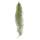 Exotenherz - fairy hair - Louisiana moss - Tillandsia usneoides - hanging Tillandsia - approx. 30-40cm long - easy to care for