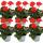 Geranien stehend - Pelargonium zonale - 12cm Topf - Set mit 6 Pflanzen - orange