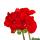 Géraniums sur pied - Pelargonium zonale - pot 12cm - set de 3 plantes - rouge foncé