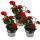 Geranien h&auml;ngend - Pelargonium peltatum - 12cm Topf - Set mit 3 Pflanzen - dunkelrot
