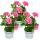 Geranien h&auml;ngend - Pelargonium peltatum - 12cm Topf - Set mit 3 Pflanzen - rosa