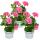 Geranien hängend - Pelargonium peltatum - 12cm Topf - Set mit 3 Pflanzen - rosa