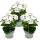 Géraniums suspendus - Pelargonium peltatum - pot 12cm - set de 3 plantes - blanc