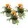 Mittagsgold - Gazania "Big Kisses" - 12cm Topf - Set mit 3 Pflanzen - orange