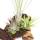 Tillandsia Arrangement on Mopaniwurzel - XL - 3 plants