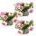 Verbena hanging - Verbena - 12cm pot - Set of 3 plants - pink