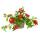 Eisenkraut hängend - Verbena - 12cm Topf - Set mit 3 Pflanzen - Farb-Mix