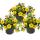 Zaubergl&ouml;ckchen - Minih&auml;ngepetunie - Calibrachoa - 12cm Topf - Set mit 3 Pflanzen - gelb