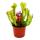 Schlauchpflanzen-Trio - 3 verschiedene Sarracenia-Pflanzen im Set - Fleischfressende Pflanzen - 9cm Topf