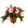 Edel-Lieschen - Impatiens New Guinea - pot 12cm - set de 3 plantes - rouge-blanc