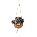 Kokodama - Tradescantia zebrina in kokodama jar to hang - three master flower - ca. 15cm