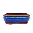 Bonsai pot - rectangular G81 - blue - L31.5cm x W25cm x H10cm