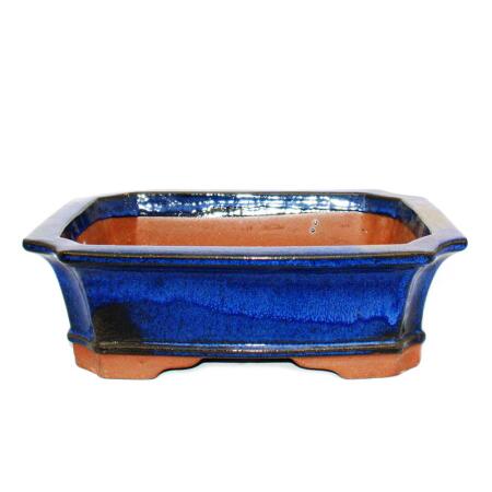 Pot à bonsaï - rectangulaire G4 - bleu - L31cm x W24cm x H10,5cm