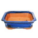 Bonsai pot - rectangular G4 - blue - L31cm x W24cm x H10.5cm